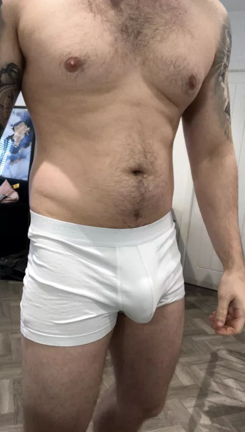 Begging to come out by 1dollarscratchy