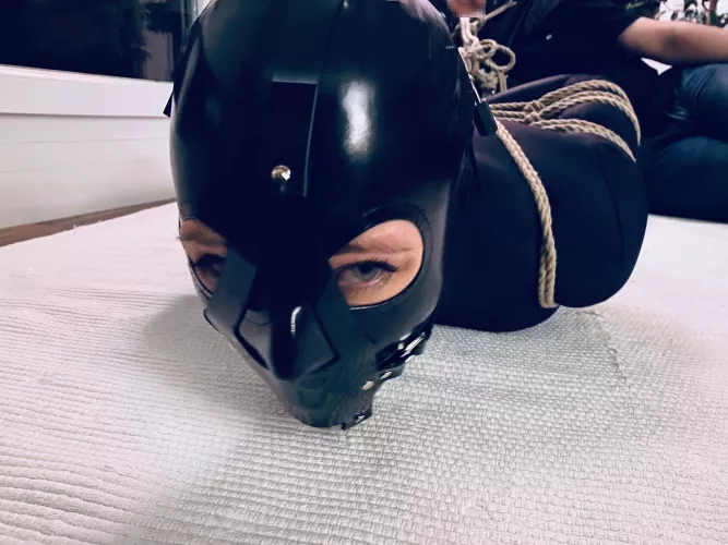 Being hogtied with an anal hook and silenced with a mouth gag, this Fuckdoll was the perfect entertainment for the guests 🙈☺️ by ArtigsEducation