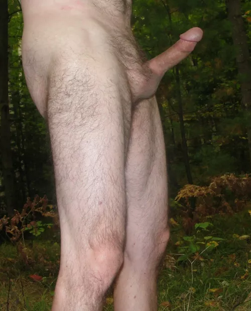 Being in the woods gives me wood. Comments welcome by hardondevil
