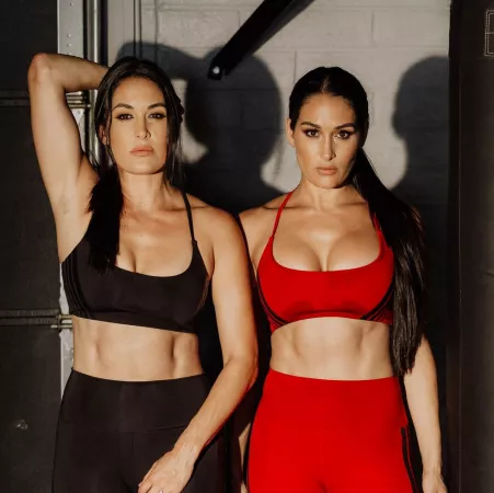 Bella Twins by rizla07