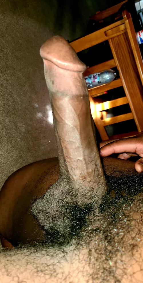 Bend over and shut up😏 by Complex-Translator55