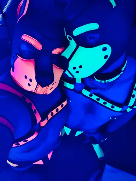 Best pups forever. 🧲 by Pup_Piston