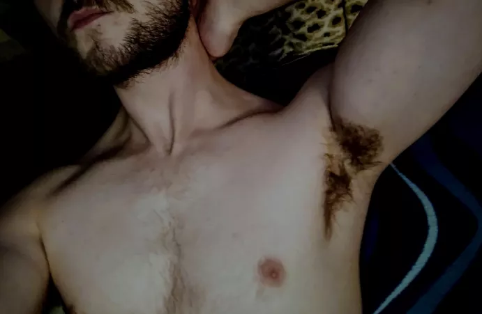 Bet youd get your face In there by sk_8yr9719ac