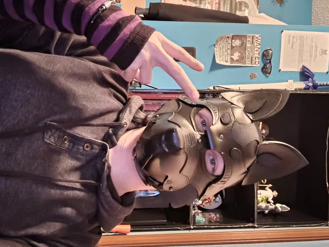 Better Pic of My Pup's First Hood by ChakatBlackstripe