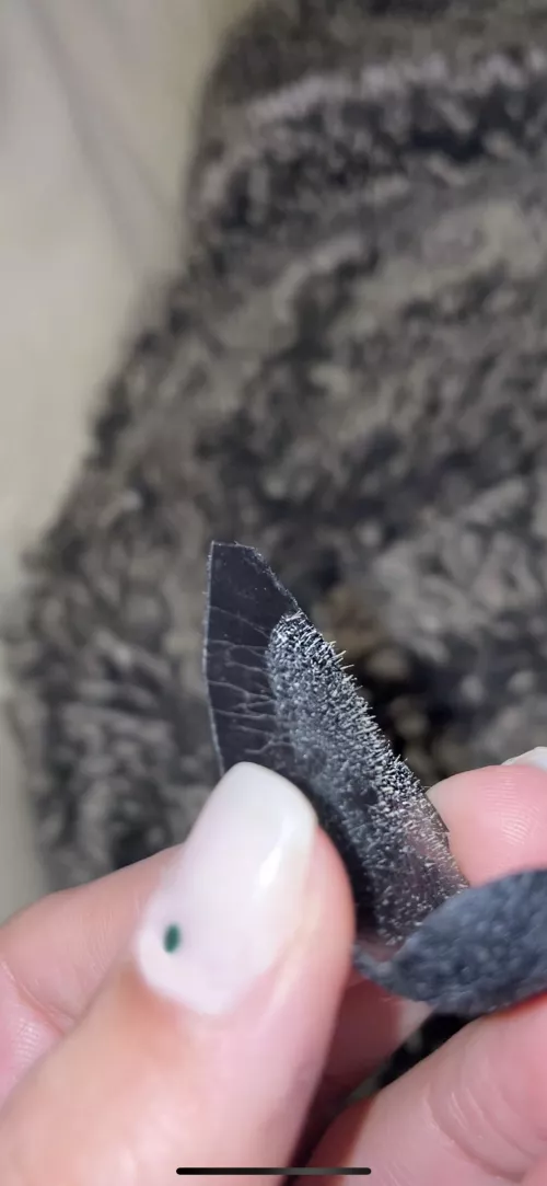 bf’s pore strip pt 3 by tsf1109