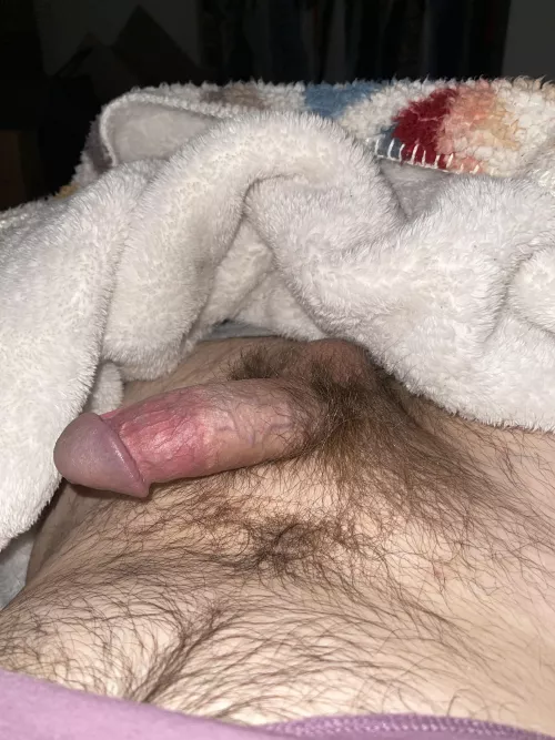 Bi guy, looking for a FWB situation with like minded guys. Chat, have normal conversations and be willing to swap pics/videos during our horny moments. All I ask is don’t be weird, would like a normal everyday guy like myself. I am 29 and 5.5 cut. If y by Chev-eyo