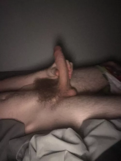 Big Aussie bush by Cavvy1243