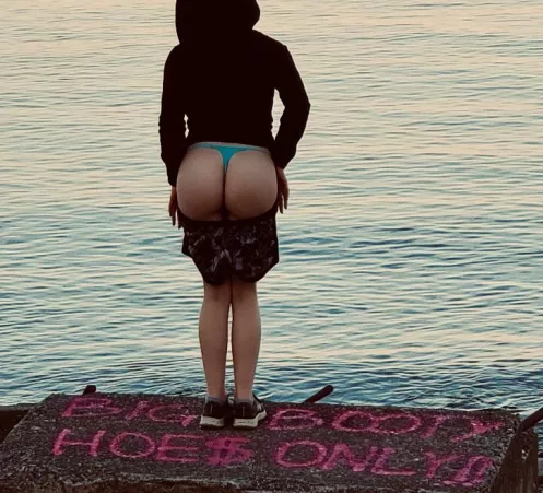 Big Booty Hoe$ Only (I didn’t write this but I had to represent). 🍑 by Sweetlydiscreet18