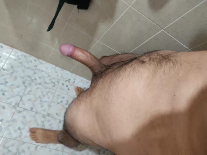 Big by pitbull_at_your_feet