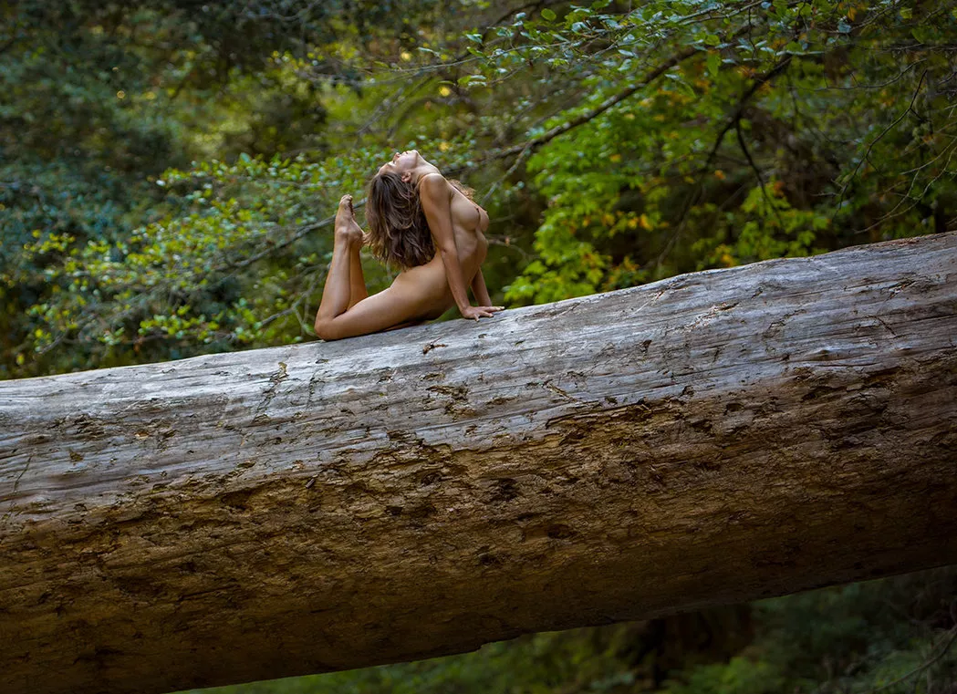 Big Tree posted by fill_it_with_cream