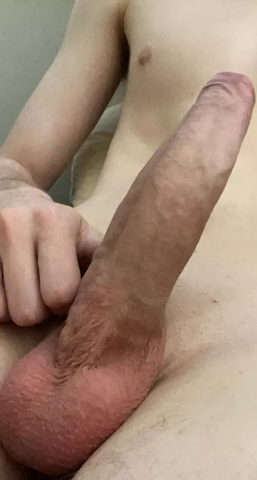 Big uncut dick for ya by 8InchKiwi