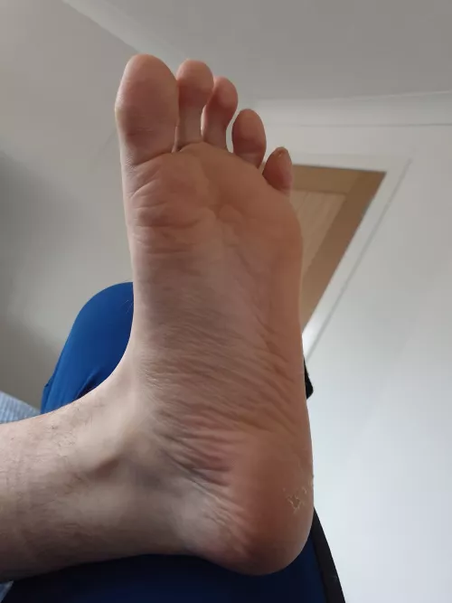 Bigfoot by Bisexual_Brat98