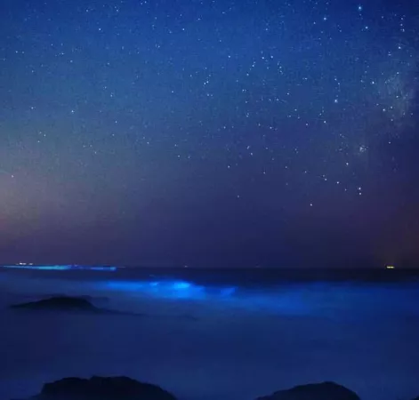 Bioluminescence 😍 by Alarming-Hope