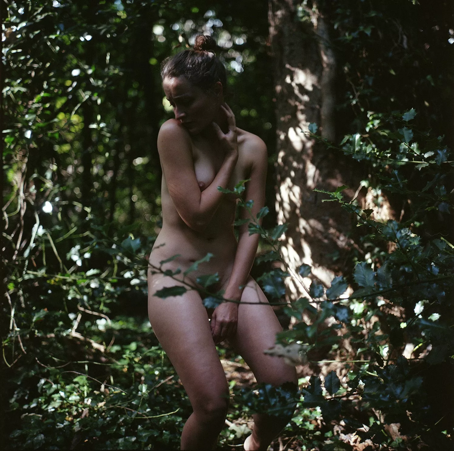 Biophilia posted by paredocks