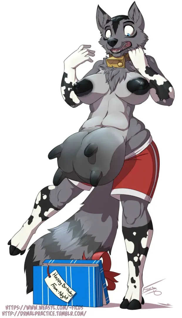 Birthday surprise [F Anthro Coyote -> F Anthro Cow Mid-TF] (malificus) posted by jpg_enjoyer