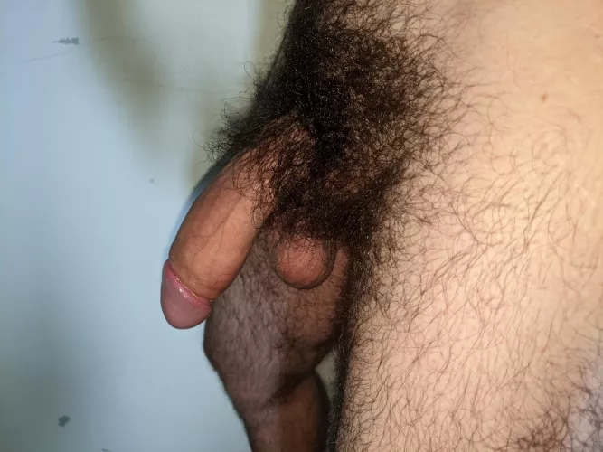 Bit fuzzy by RepresentativeSad416