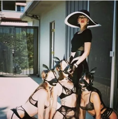 Bitch walker by laidbackaccount