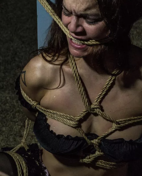 Bite Down by happyholland