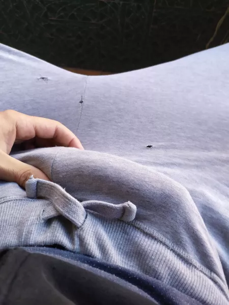 Bite my cock through my pants by Barbagianni74