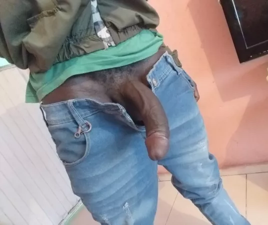 Black swan... by oraval2019