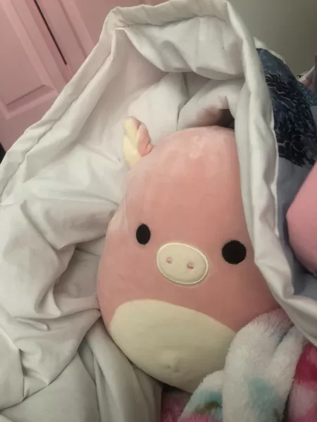 Blankie fort morning by Top_Peace_5439