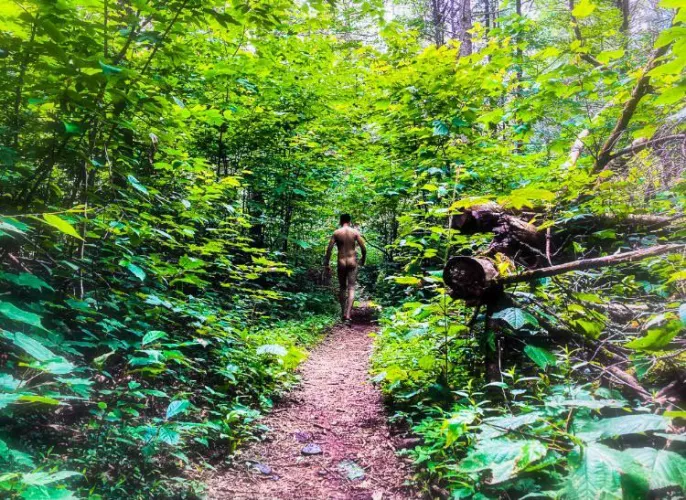 Blessed to be surrounded by forest by Doverton7878