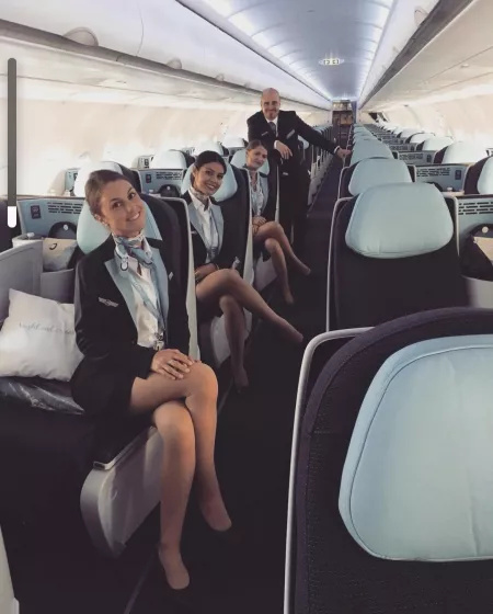 Blue bird 🇫🇷 by arrayoutofbounds