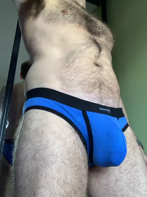 💙Blue. 🩲Briefs. 🍆Bulge. by atrophicshiner