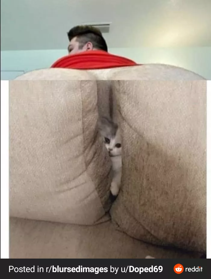 Blursed. You know what's up posted by Wiggle-For-Me