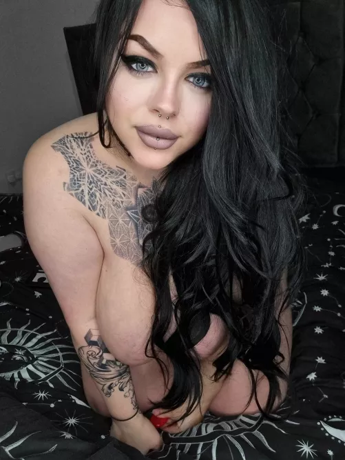 Boo, some BOO BEES It's nearly spooky season..do you celebrate it? by aerwydd