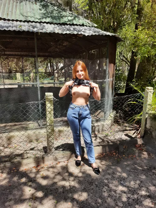 boobs on the school trip to the zoo by sexLau