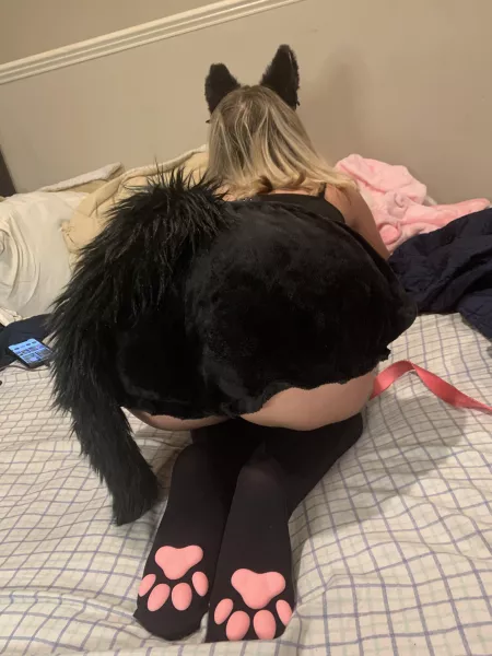booty rubs and head pats pwease🐾🥺 by bunnygirlxoxo13