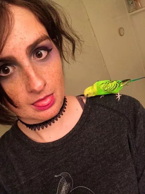 borb 🦆 by Anxietitty117