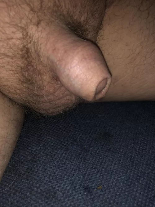 Bored and tiny. (34) by sizeabledruid19