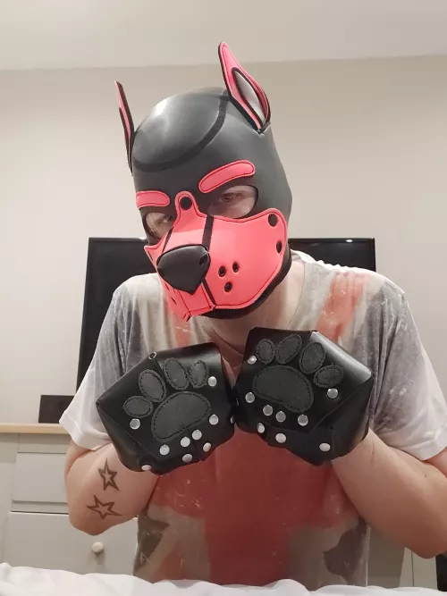 Bork heckin bork <3 by PrinceThePupper