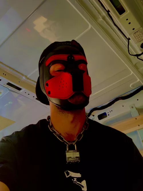 Borkenzen by pwuff9581