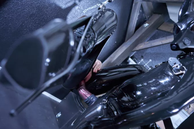 Bottoming out this bound pussy! by MitchellMalice