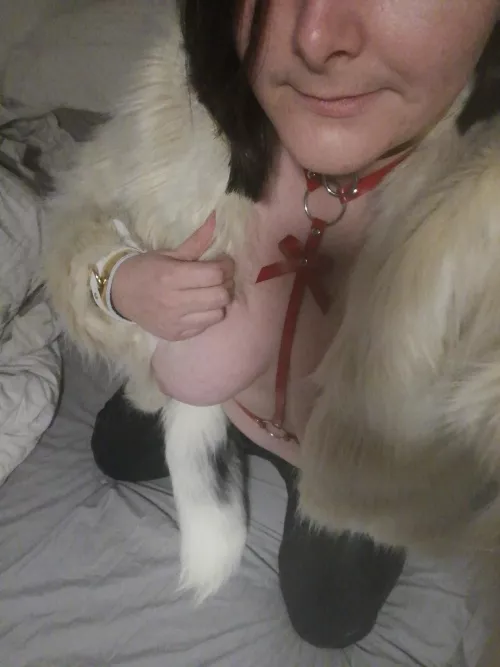 Bought myself pretty presents, need to get some proper pictures now by smolkoalabear