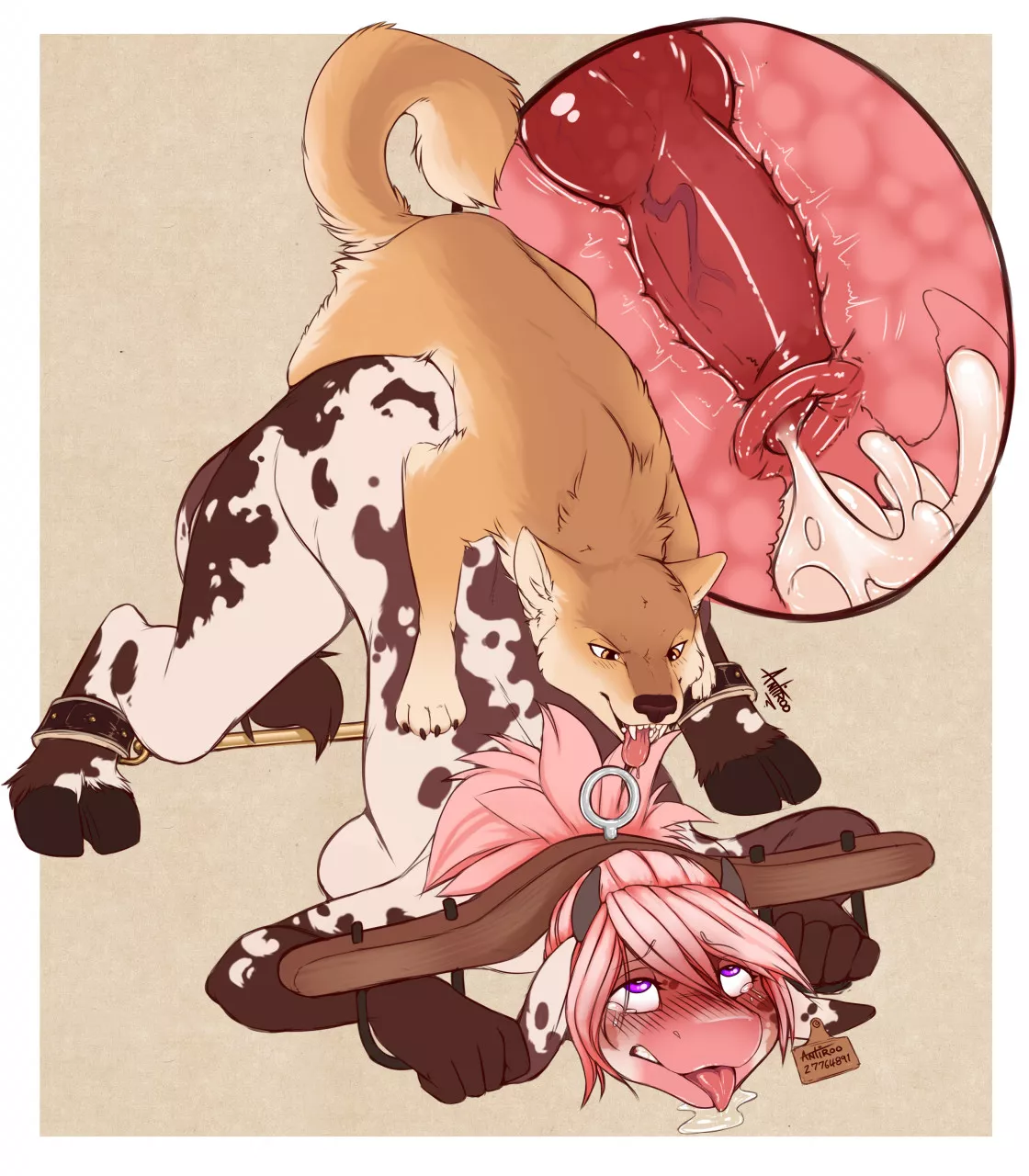 Bound and Knotted [MF] (Antiroo) posted by OwO_Bot