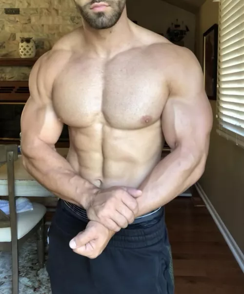 Bow & kneel by Area-Fearless