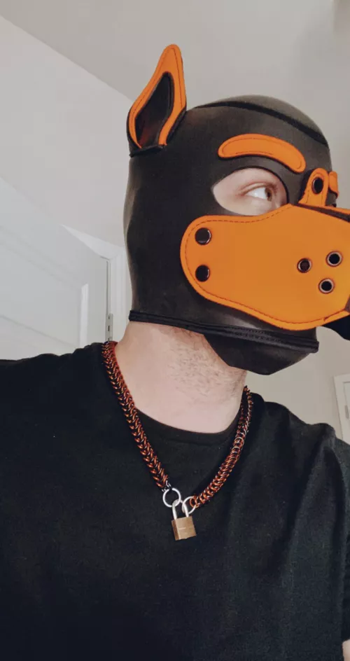 Boyfriend asked a local puppy friend to make me a daily collar, and I haven’t taken it off since he first put it on me. by pupmyers