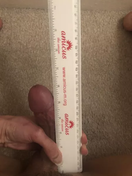 BP at 6.1inc by Dicksizematter