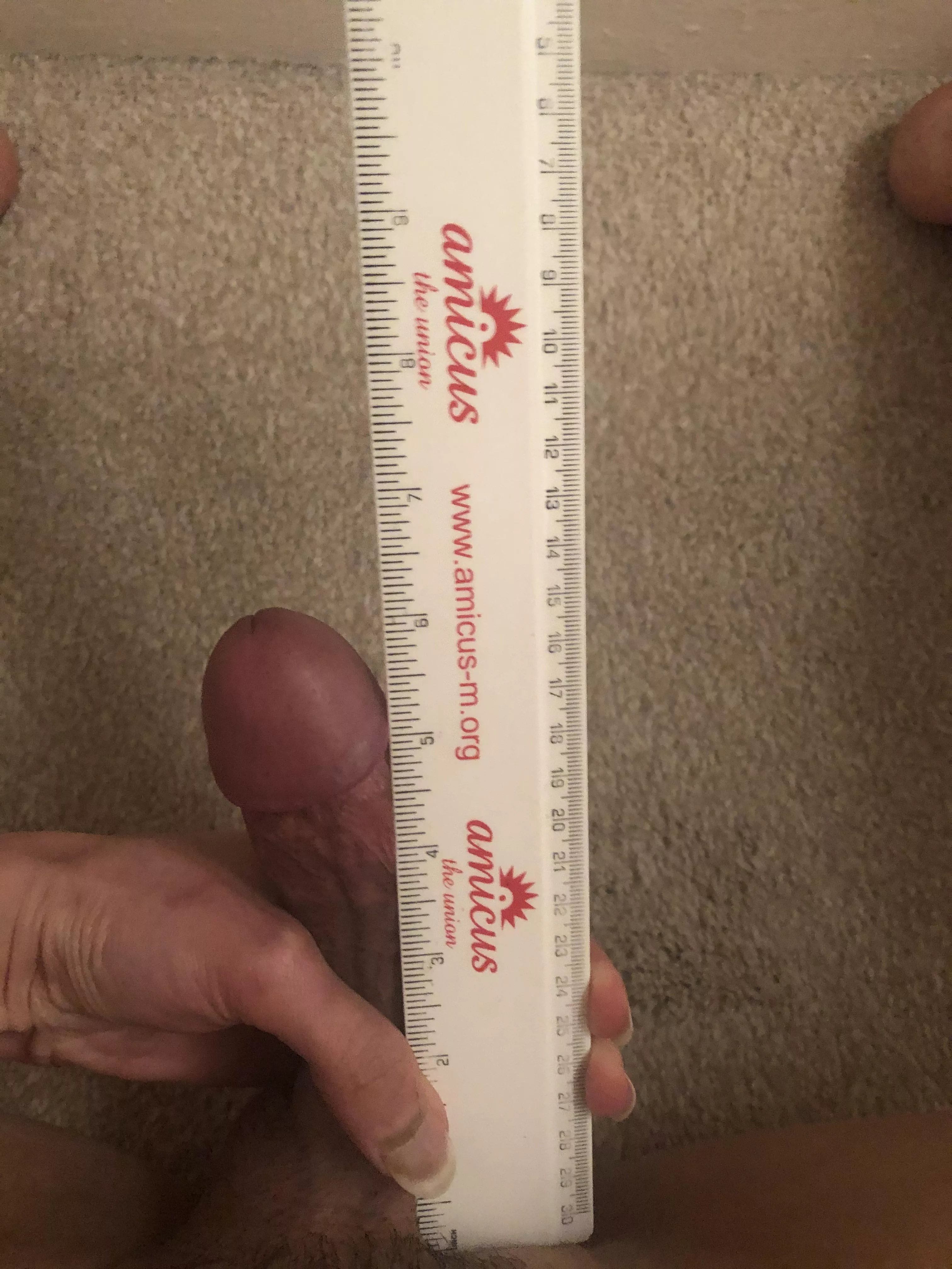 BP at 6.1inc posted by Dicksizematter