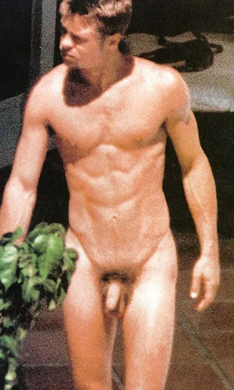 Brad Pitt's naked dick posted by cassandras_eyes
