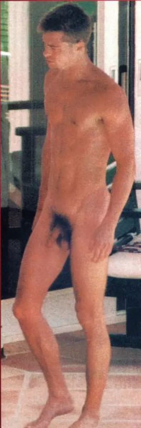 Brad Pitt's salty penis by cassandras_eyes