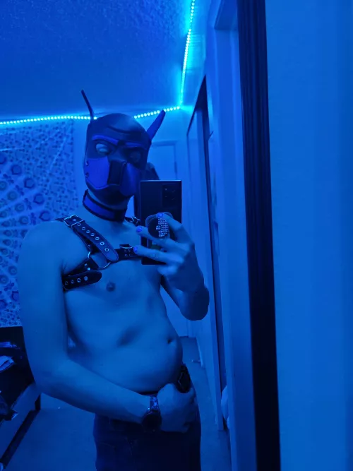 Brand new pup here! Feeling free and so, so happy RN... I'm ready to get ruff 😜🐶 by The-Pup-Apollo