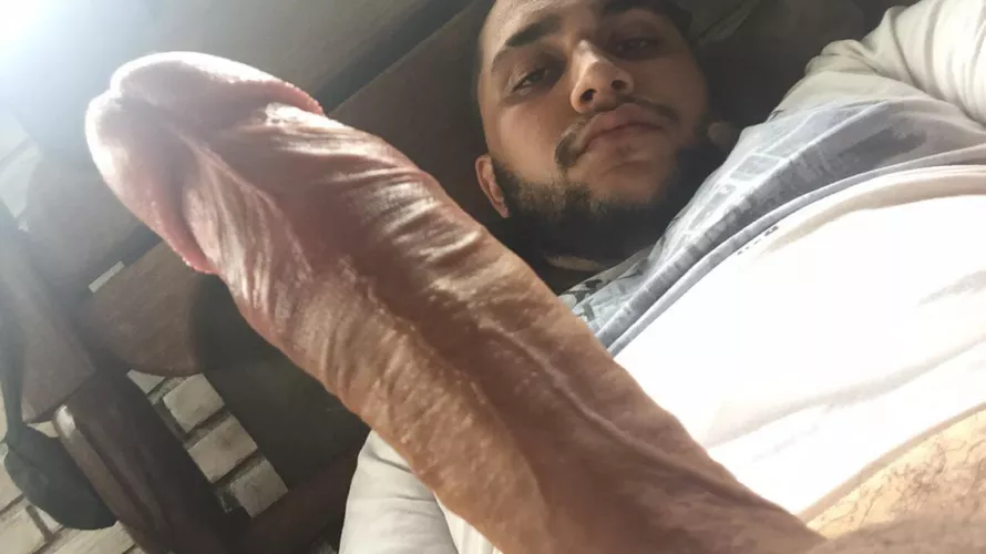 Brazilian BWC by Brazillian97