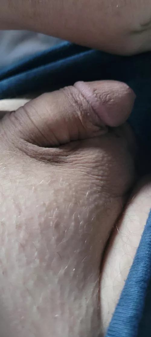 Breakfast anyone M[47] by skynrbck