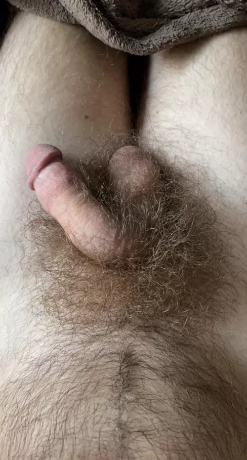 Breakfast is served by Curved2theleft_1