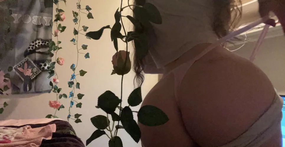 breed me?? by angelxobabyluv